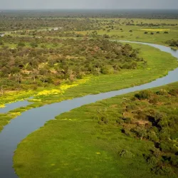 Bird Watching in the Region - Am Timan