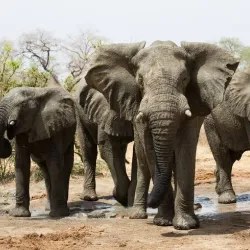 Nature Walks and Hiking - Am Timan