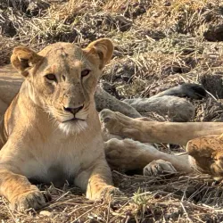 Zakouma National Park - Ati