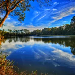 Surrounding Savannah and Nature Walks - Baïbokoum