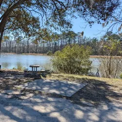 Surrounding Savannah and Nature Walks - Baïbokoum