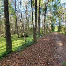 Surrounding Savannah and Nature Walks - Baïbokoum