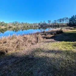 Surrounding Savannah and Nature Walks - Baïbokoum