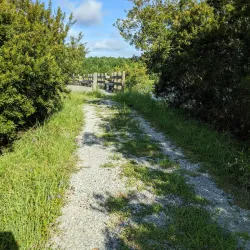 Surrounding Savannah and Nature Walks - Baïbokoum