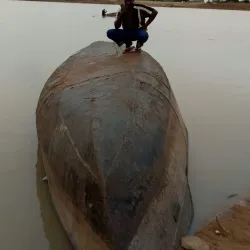 Chari River - N'Djamena