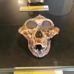 National Museum of Chad - N'Djamena