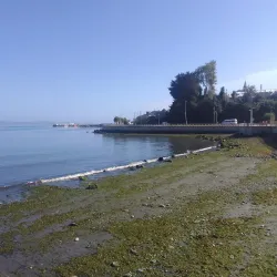 Costanera de Ancud - Ancud