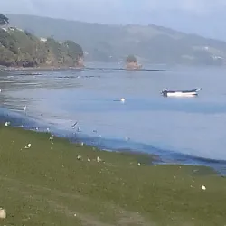 Costanera de Ancud - Ancud