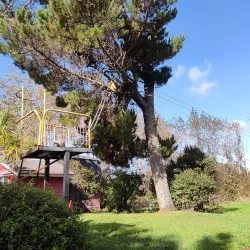 Isla Gaviota - Ancud