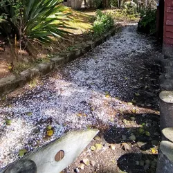 Isla Gaviota - Ancud