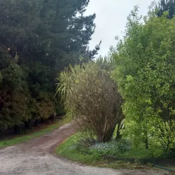 Isla Gaviota - Ancud