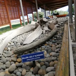 Museo Regional de Ancud - Ancud