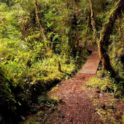 Parque Tantauco - Ancud