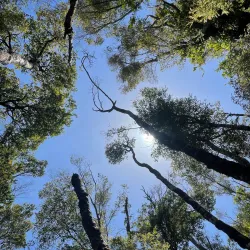 Parque Tantauco - Ancud