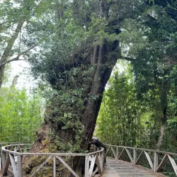 Parque Tantauco - Ancud