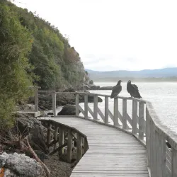 Parque Tantauco - Ancud