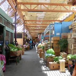 Mercado Central de Arica - Arica