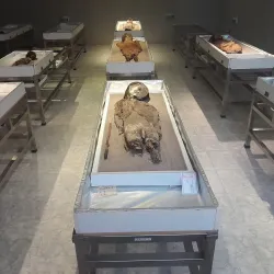 Museo Arqueológico San Miguel de Azapa - Arica