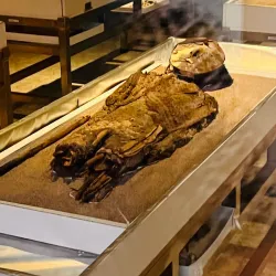 Museo Arqueológico San Miguel de Azapa - Arica