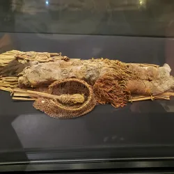 Museo Arqueológico San Miguel de Azapa - Arica