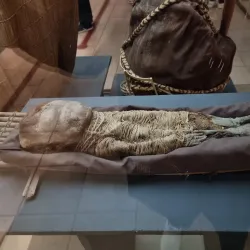 Museo Arqueológico San Miguel de Azapa - Arica