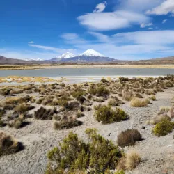 Parque Nacional Lauca - Arica