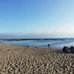 Playa La Lisera - Arica
