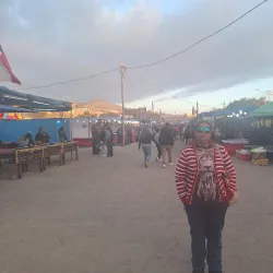 Valle de Azapa - Arica