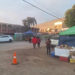 Valle de Azapa - Arica