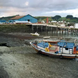 Costanera de Castro - Castro