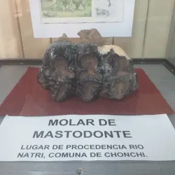 Museo Regional de Castro - Castro