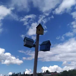 Palafitos de Castro - Castro