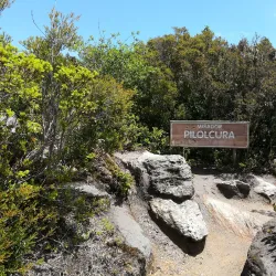 Parque Oncol - Castro