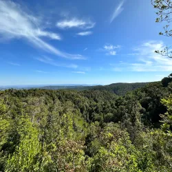Parque Oncol - Castro