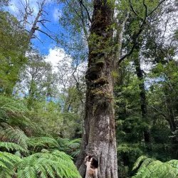 Parque Oncol - Castro