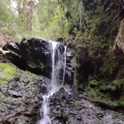 Parque Oncol - Castro