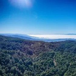 Parque Oncol - Castro