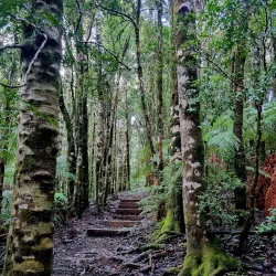 Parque Oncol - Castro