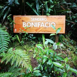 Parque Oncol - Castro