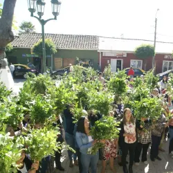 Iglesia San Ambrosio - Cauquenes