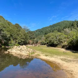 Parque Natural El Encinar - Cauquenes