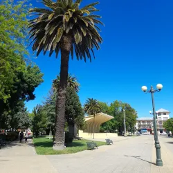 Plaza de Armas de Cauquenes - Cauquenes