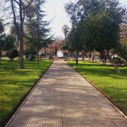 Plaza de Armas de Cauquenes - Cauquenes