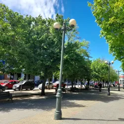Plaza de Armas de Cauquenes - Cauquenes
