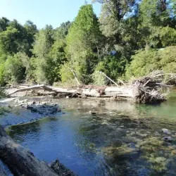 Río Cauquenes - Cauquenes
