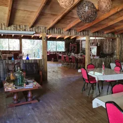 Viñedos de Cauquenes - Cauquenes