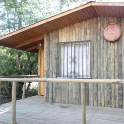 Viñedos de Cauquenes - Cauquenes