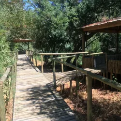 Viñedos de Cauquenes - Cauquenes