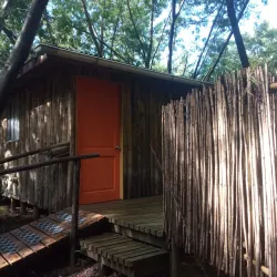 Viñedos de Cauquenes - Cauquenes