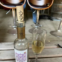 Viñedos de Cauquenes - Cauquenes